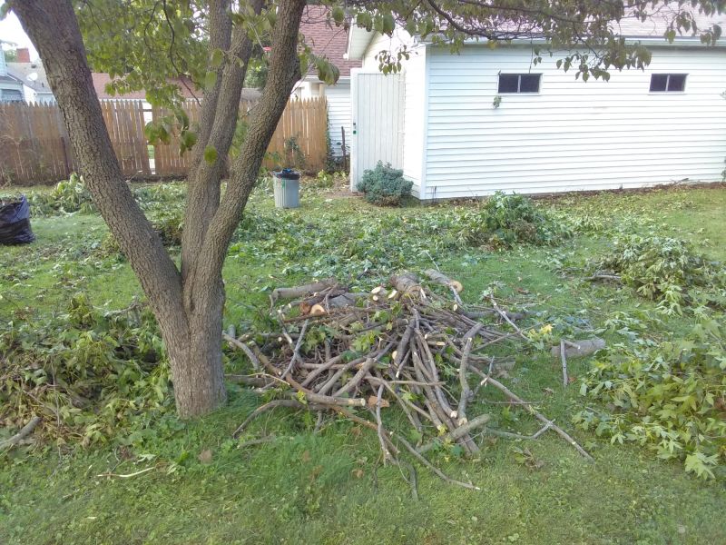Clean Yard After Leaf Removal