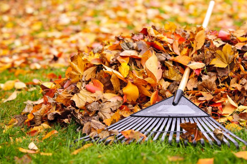 Raking Leaves in a Garden