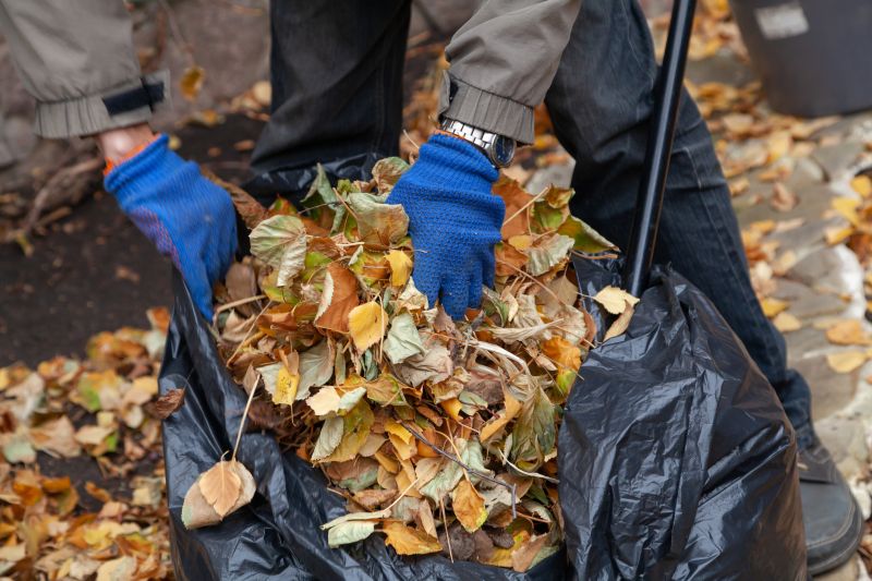 Disposing of Leaves