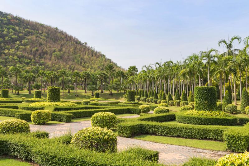 Finished Tree Shaping